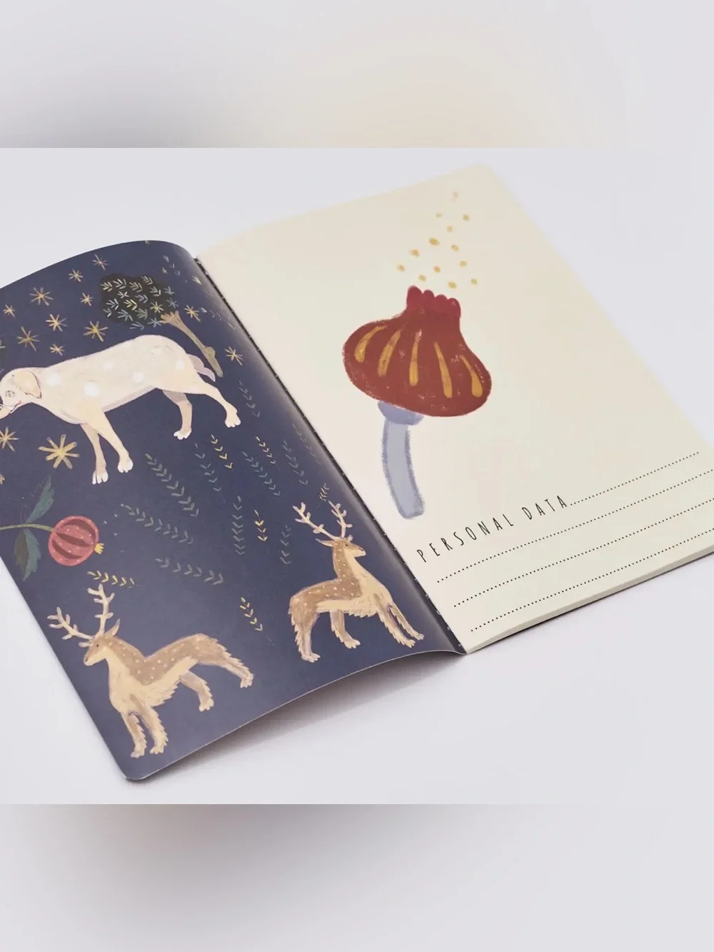 Bruno Visconti Soft Touch Fairytale Notebook Journal A5 NEW